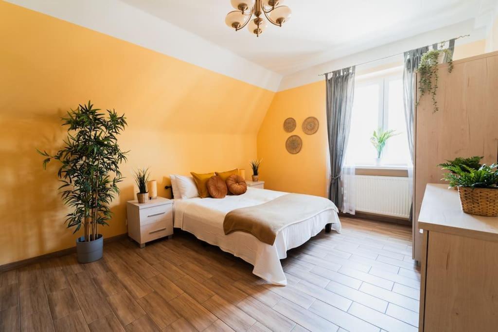 Market Square - Street Rynek 24 -2 Rooms วรอตซวาฟ ภายนอก รูปภาพ