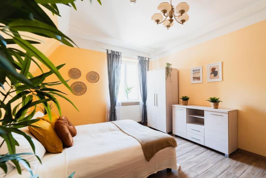 Market Square - Street Rynek 24 -2 Rooms วรอตซวาฟ ภายนอก รูปภาพ